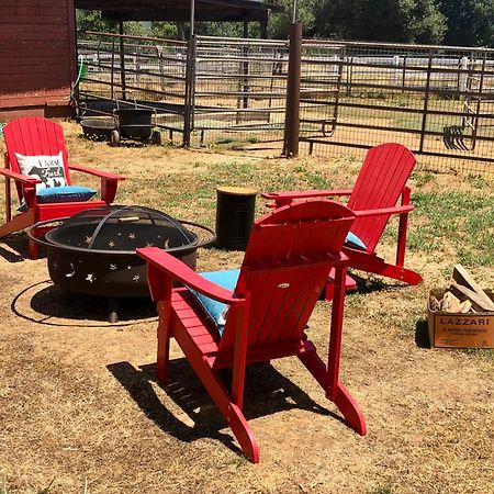 Appartamento Amazing Loft On Horse Ranch Pilot Hill Esterno foto