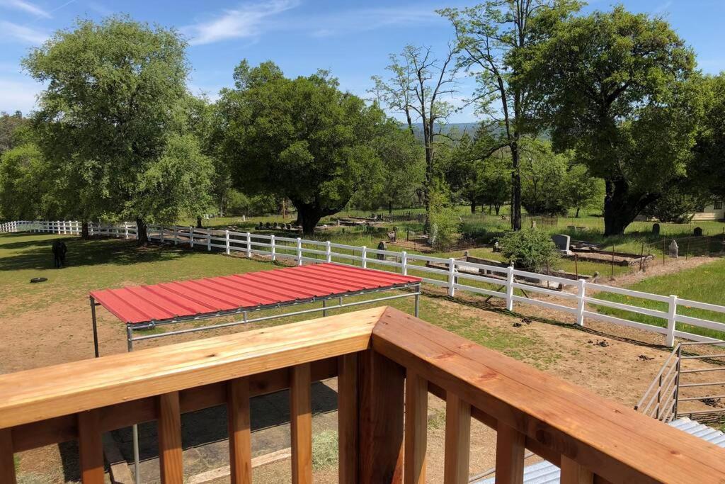 Appartamento Amazing Loft On Horse Ranch Pilot Hill Esterno foto