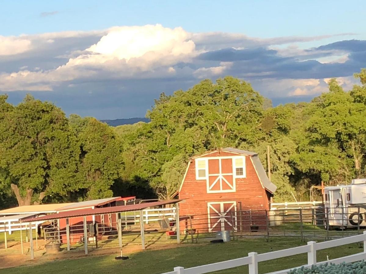 Appartamento Amazing Loft On Horse Ranch Pilot Hill Esterno foto