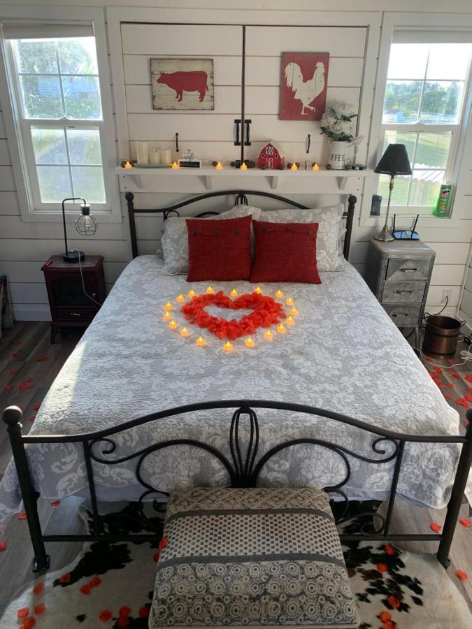 Appartamento Amazing Loft On Horse Ranch Pilot Hill Esterno foto